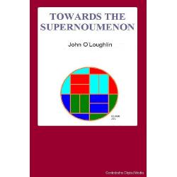 TOWARDS THE SUPERNOUMENON Image