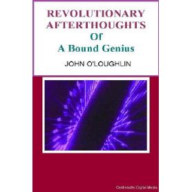 REVOLUTIONARY AFTERTHOUGHTS Image